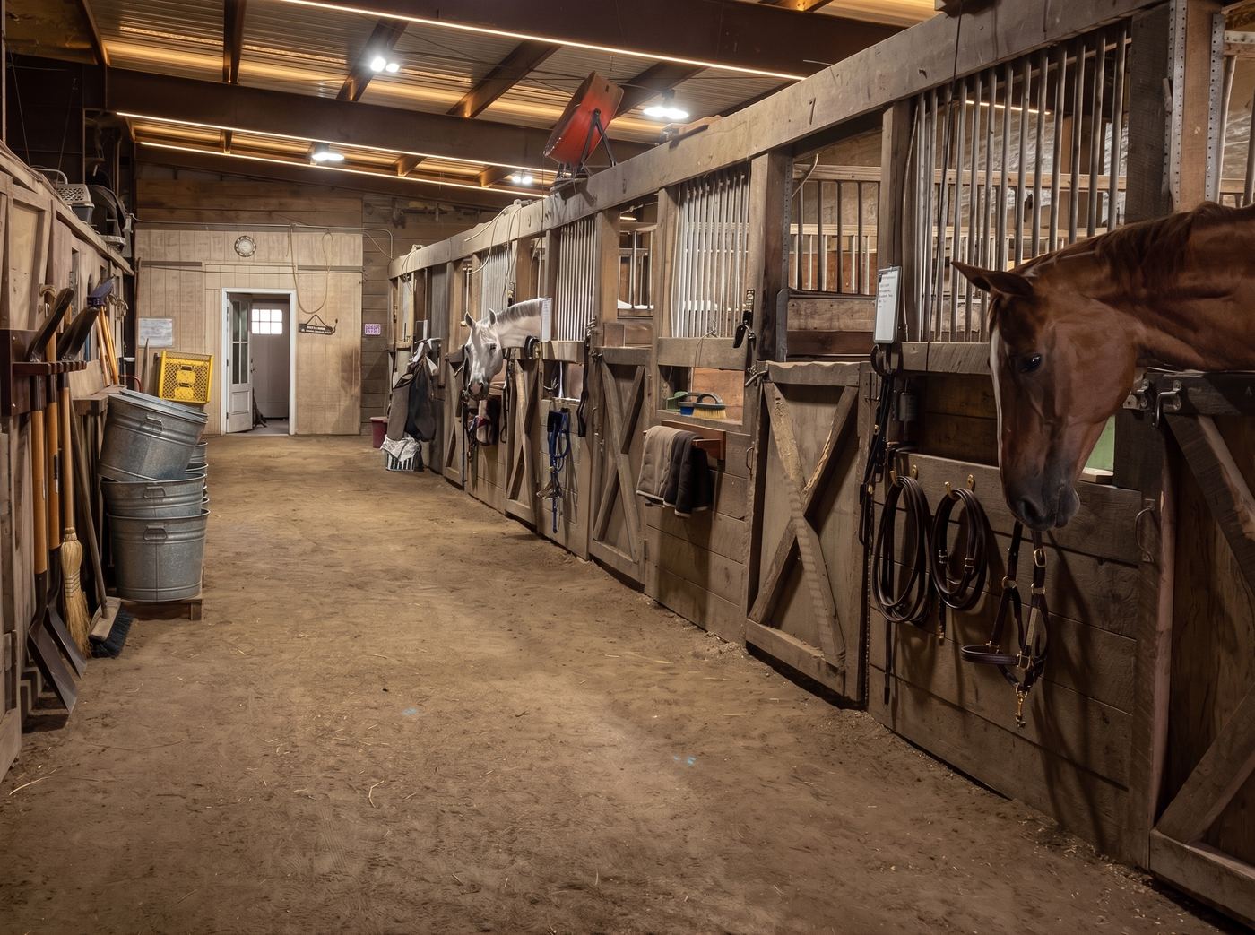 Horses looking out from wooden stalls down the barn aisle