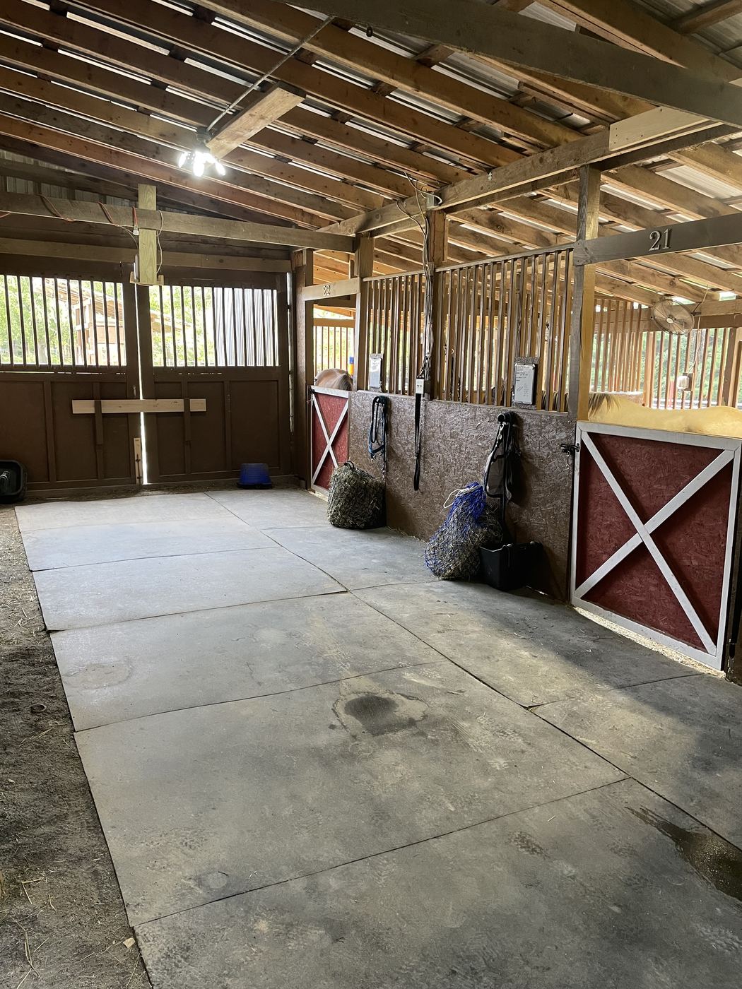 A clean barn aisle with red cross-buck stall doors and full hay nets