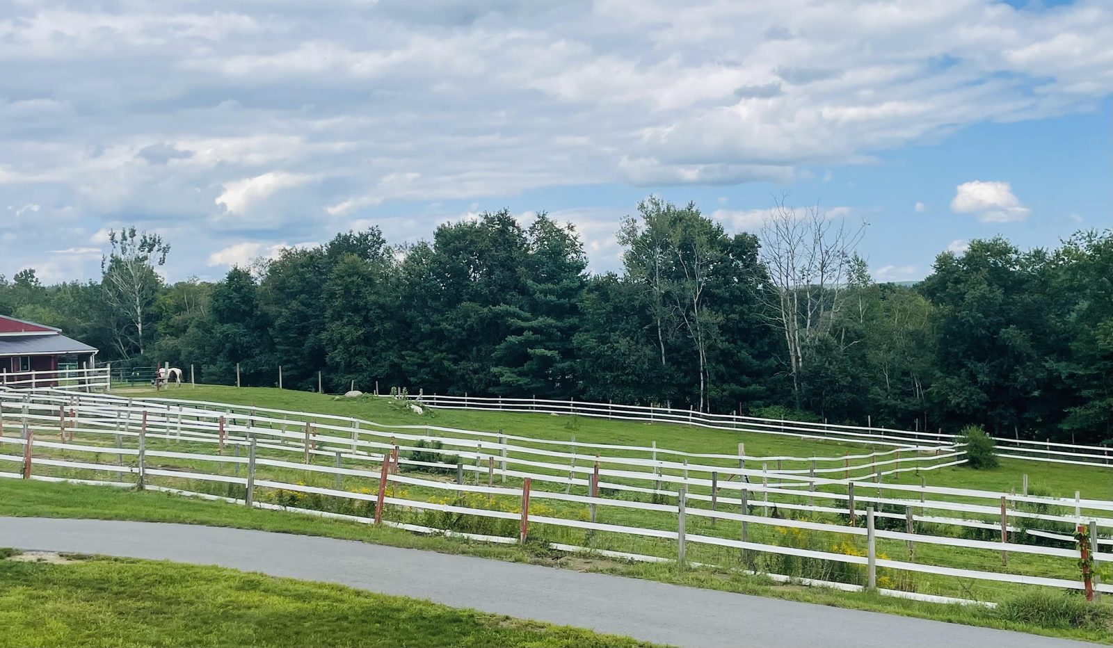 White-fenced turnout paddocks running up to the treeline with a horse grazing by the barn